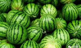 天津4s吃瓜爆料视频,揭秘汽车销售内幕