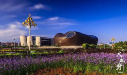 鄂尔多,探寻中国西部草原的绿色奇迹